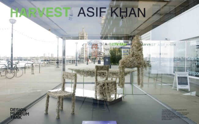 Asif-KhanTank photo ©Luek Hayes